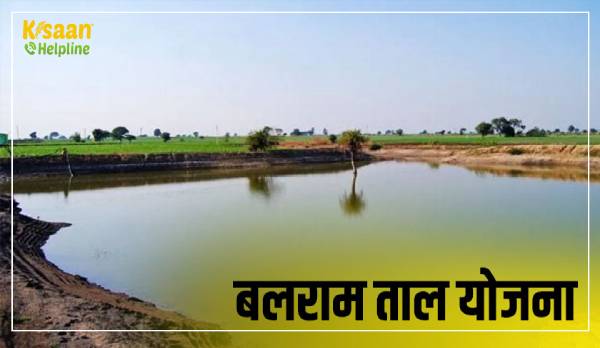 अपने खेत में तालाब निर्माण कराएं, 75 प्रतिशत तक सब्सिडी पाएं